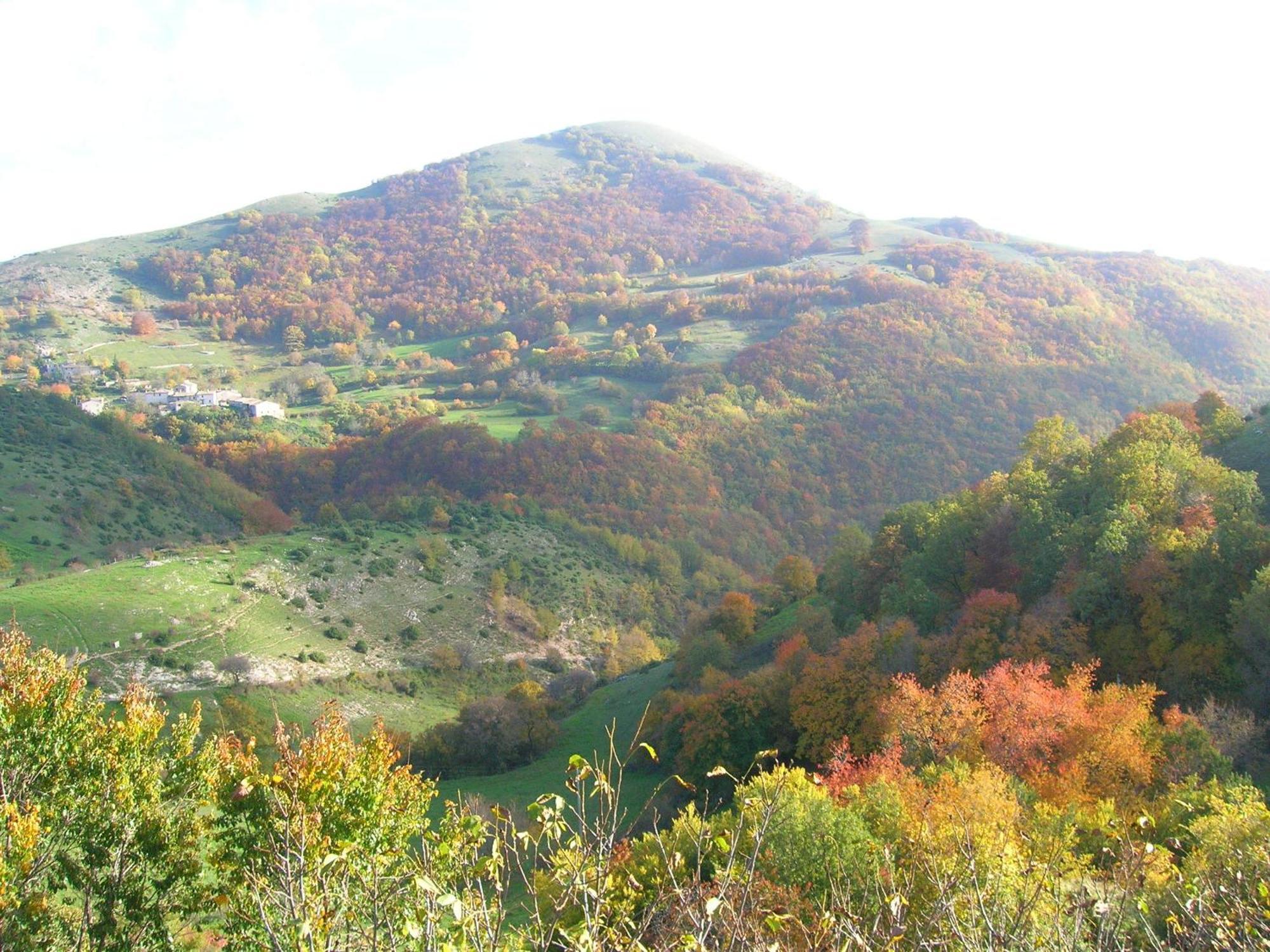 Agriturismo Pettino Campello sul Clitunno Luaran gambar